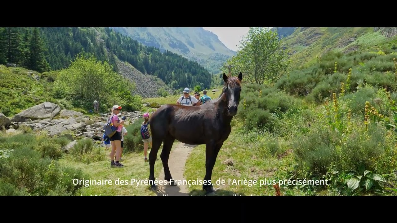 L'étang du Comte du Moyen-Age et des chevaux de la préhistoire