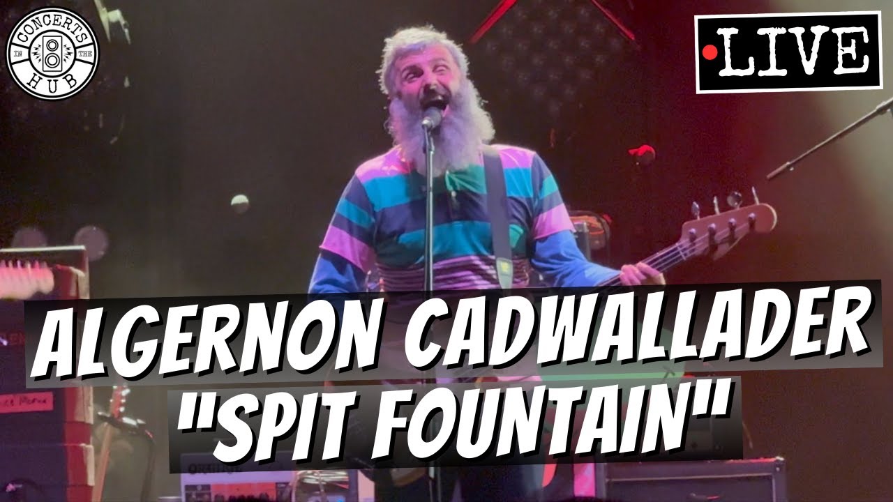 Algernon Cadwallader 