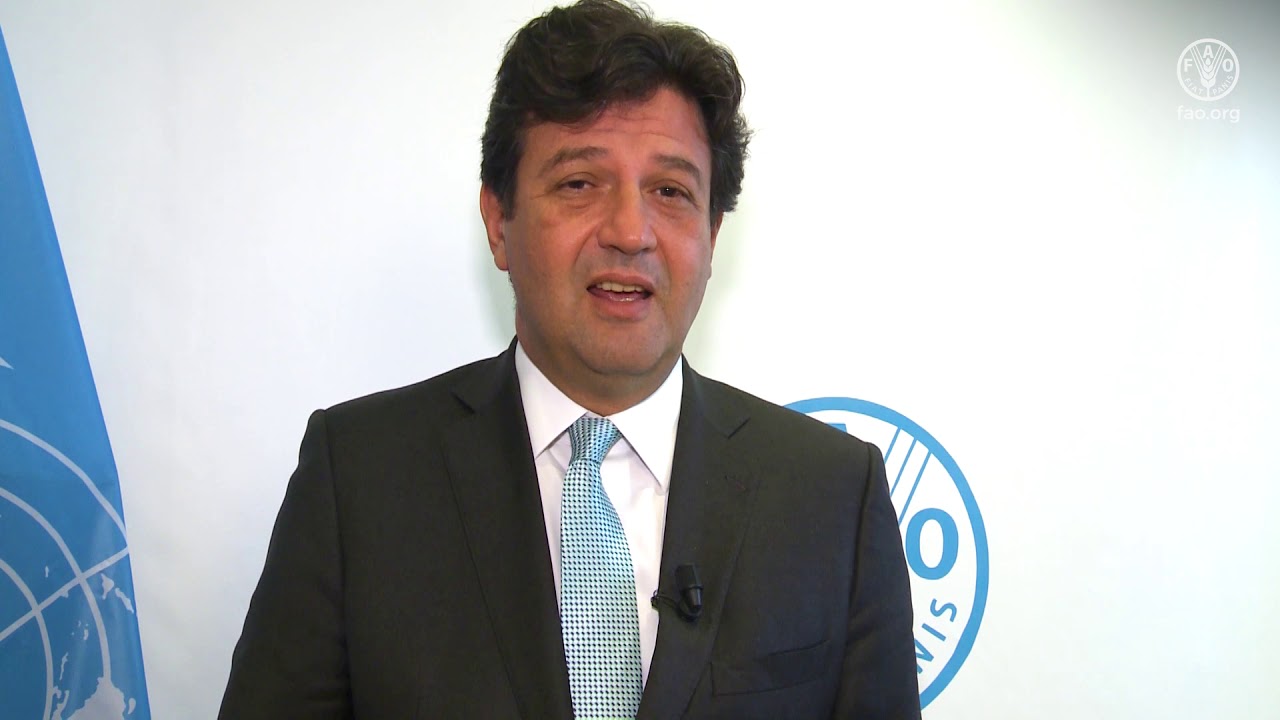 Remarks by H.E. Luiz Henrique Mandetta, Minister for Health of Brazil