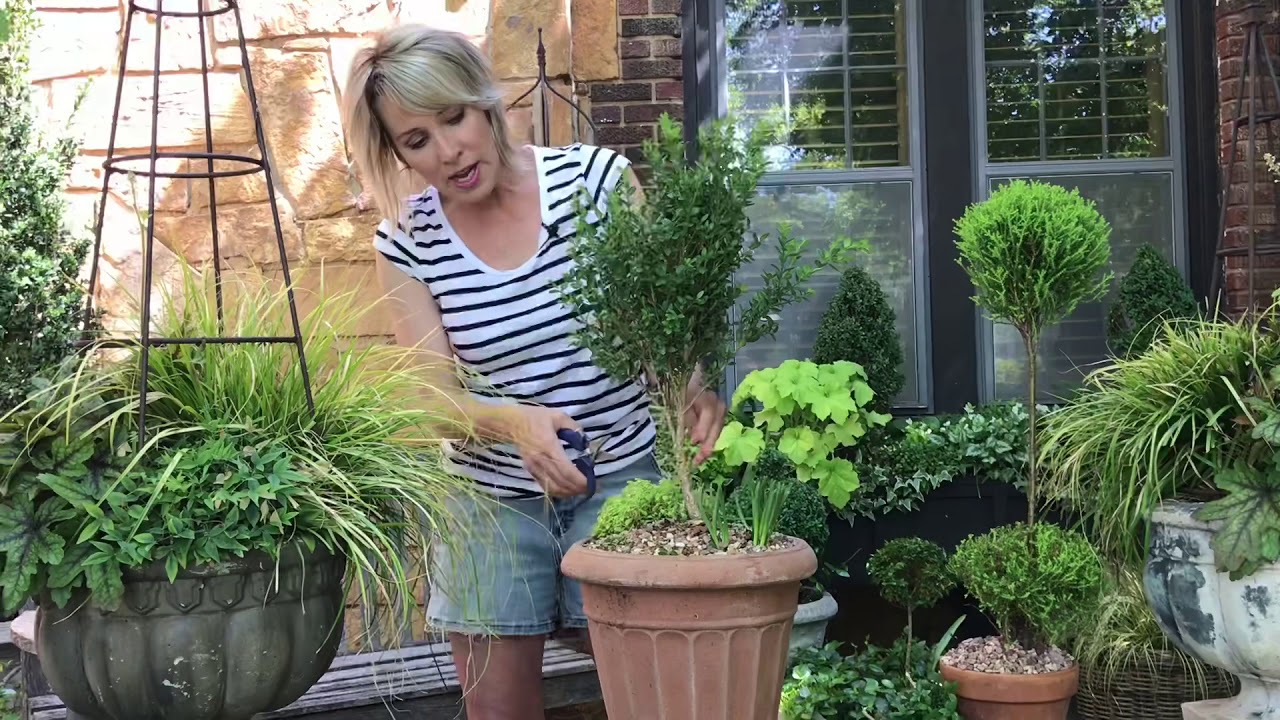 Make A Topiary