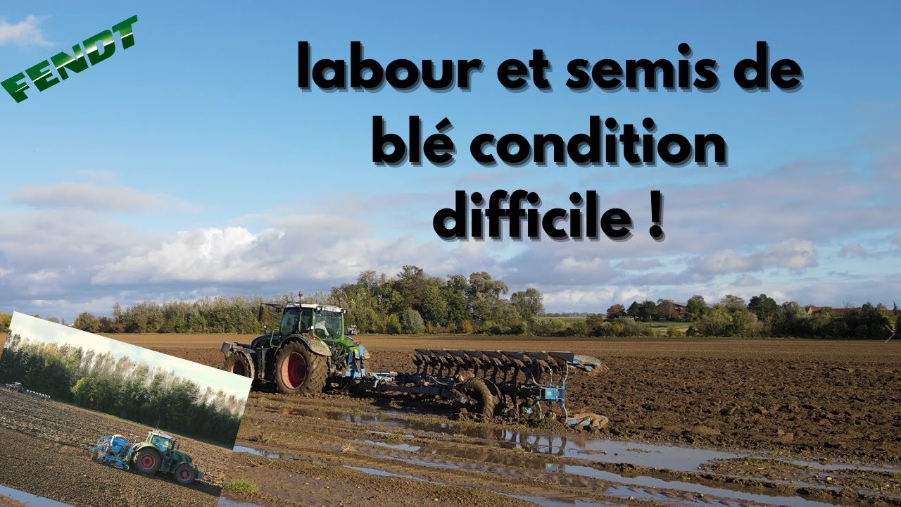 LABOUR et SEMIS de BLÉ dans des conditions difficiles!