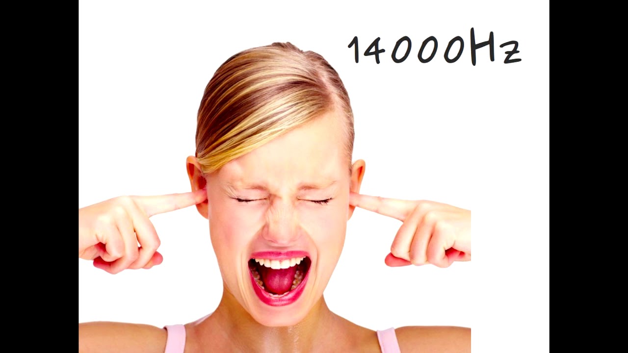 Ultrason : 14000 Hz /14KHz