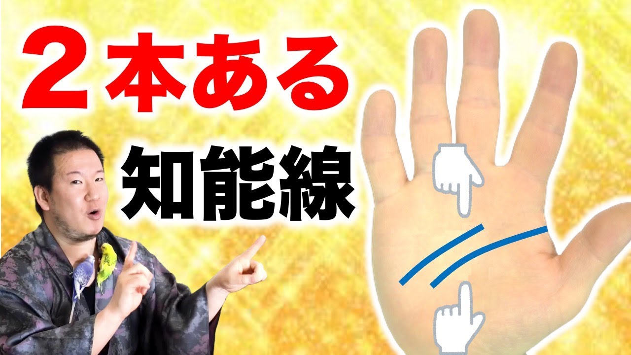 トップ２％の多才な手相！手相占いで二重知能線の才能を開花させる！