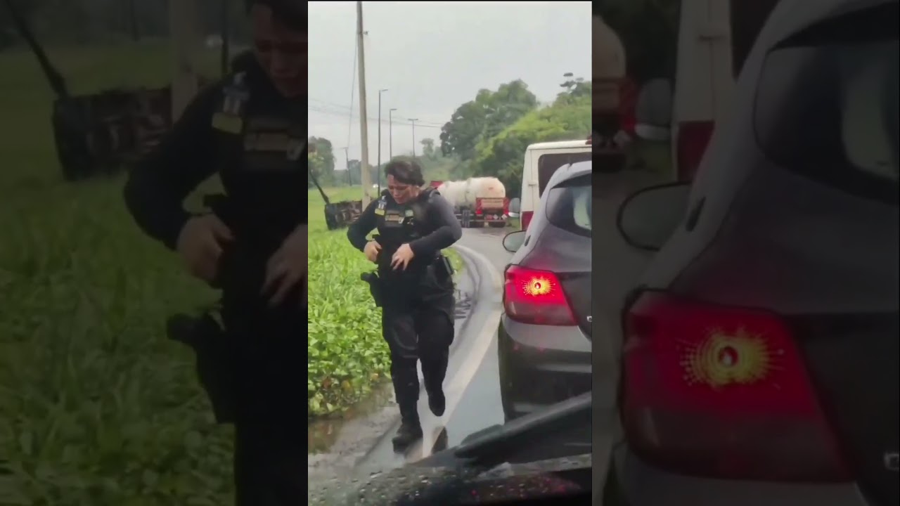 Vigilantes são atacados por um enxame de abelhas em São Luís - MA | Canal Rural