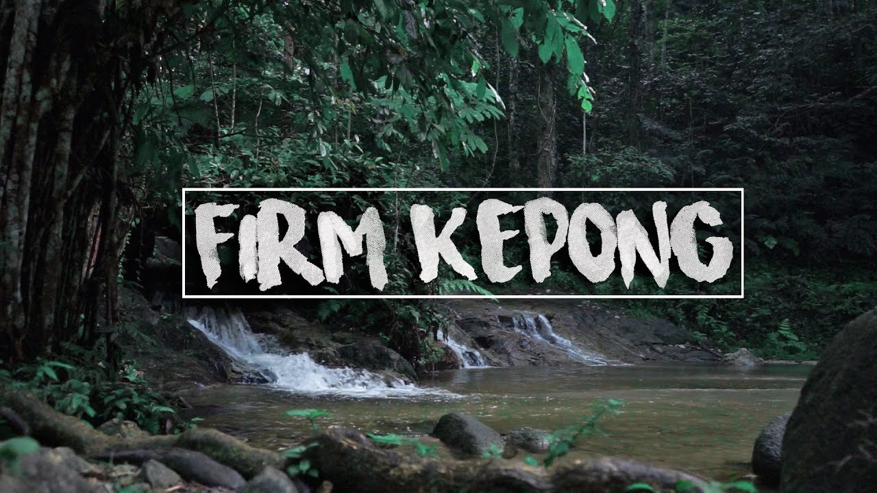 THE FOREST FIRM MALAYSIA | SONY A7 + BEHOLDER EC1
