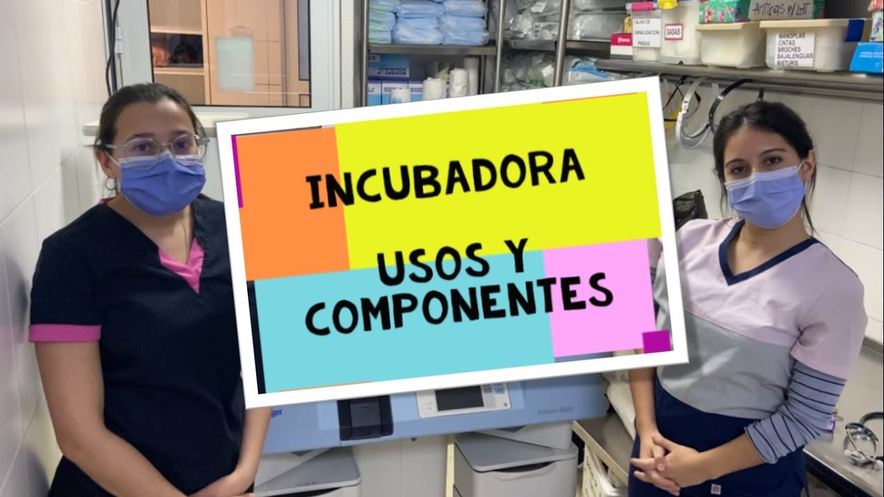 Incubadora, usos y componentes