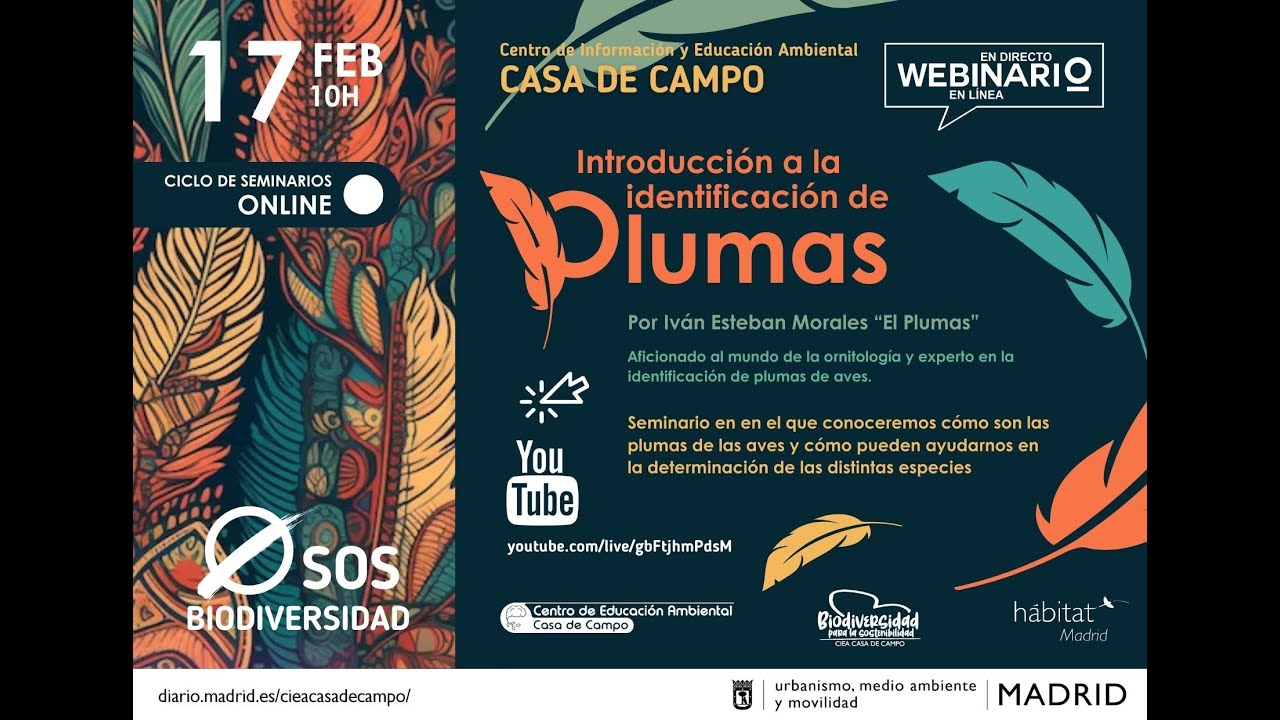WEBINARIO: Introducción a la identificación de plumas