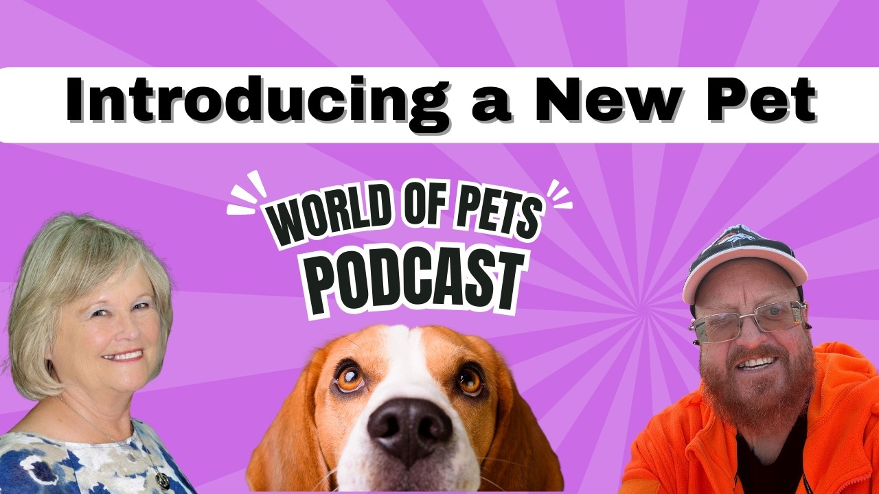 Introducing a New Pet   World of Pets Podcast
