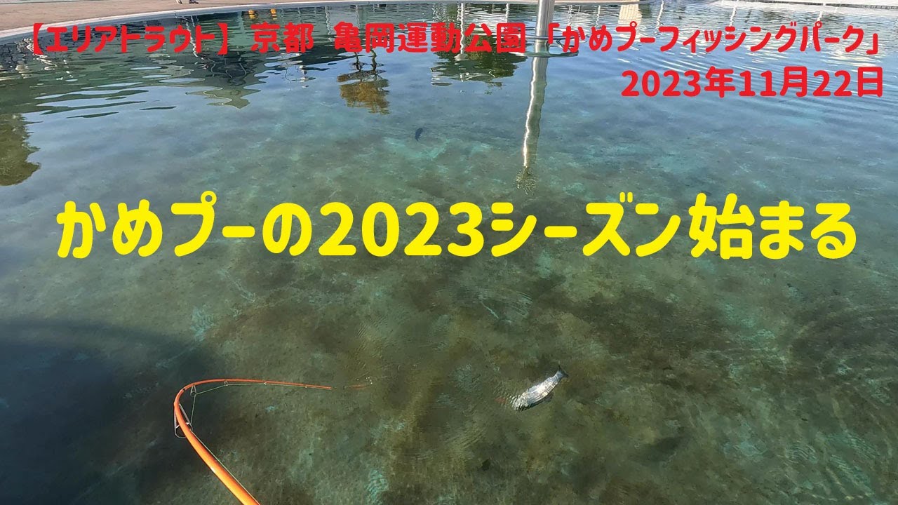 【エリアトラウト】京都 亀岡運動公園「かめプーフィッシングパーク」 かめプーの2023シーズン始まる 2023年11月22日