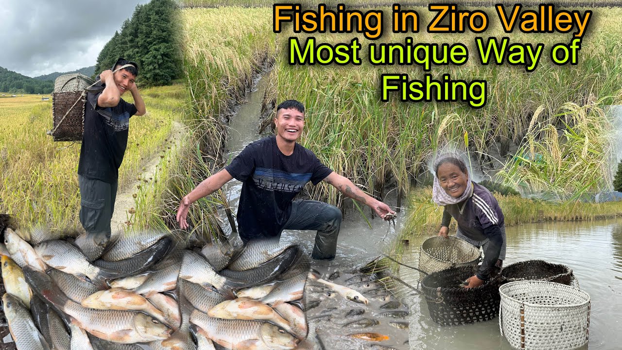 गाँव में मछली पकड़ने का अनोखा तरीका || ऐसा Fishing आज तक नहीं देखा होगा || Fishing in Ziro Valley ❤️