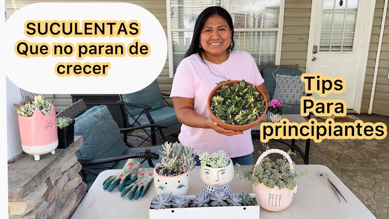 6 Suculentas que no paran de crecer en el jardín 