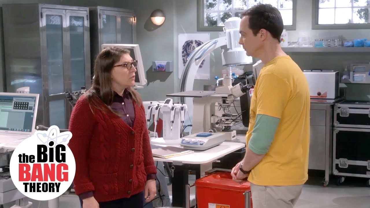 Sheldon Removed Amy From Her Project | The Big Bang Theory