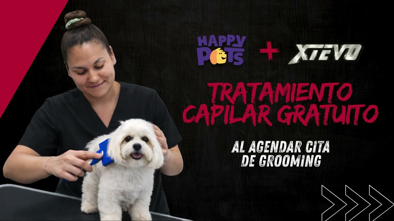 BENEFICIOS HAPPY PETS