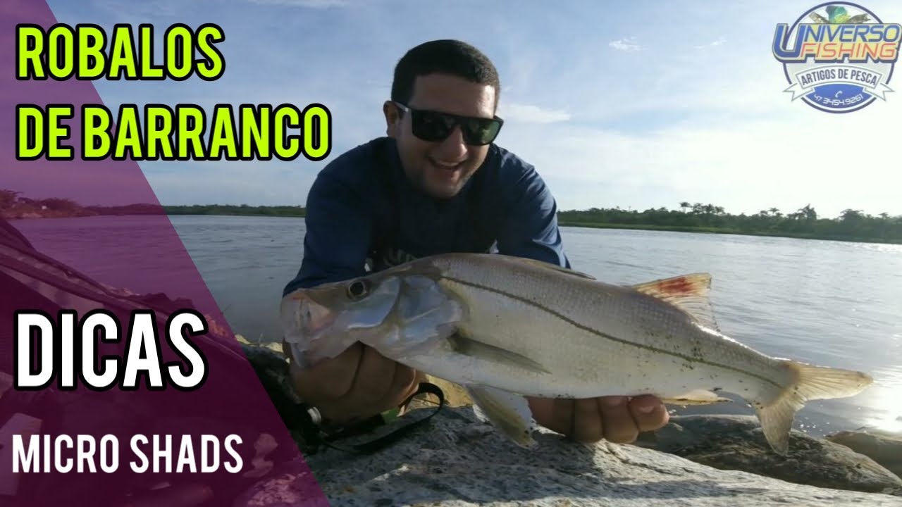 ROBALOS DE BARRANCO ( MICRO SHAD e TESTE DAS ISCAS LAMAZON  - UNIVERSO FISHING)