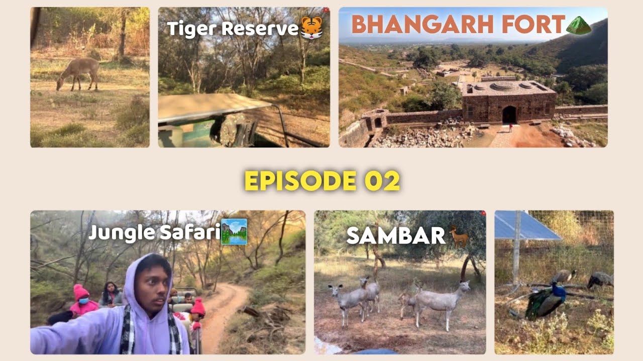 Episode 2| Sariska Jungle Safari🐅| Bhangarh Fort⛰️| खूप थंडी🥶 | मराठी Vlog🤳 | Tiger Reserve🐯| 