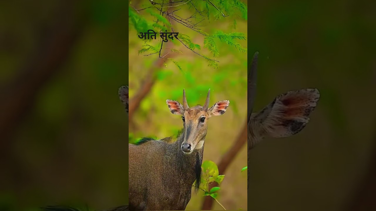 अतिसुंदर 😊🥰❤️🤗