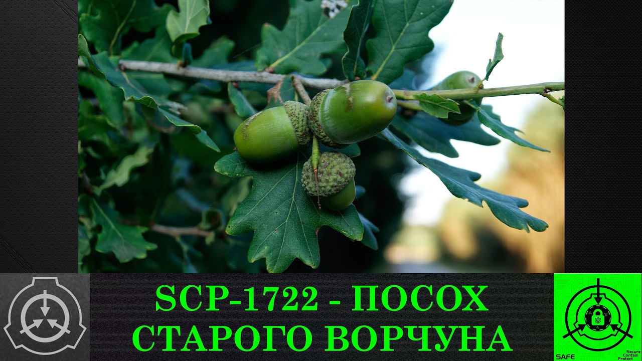 SCP-1722 - Посох старого ворчуна