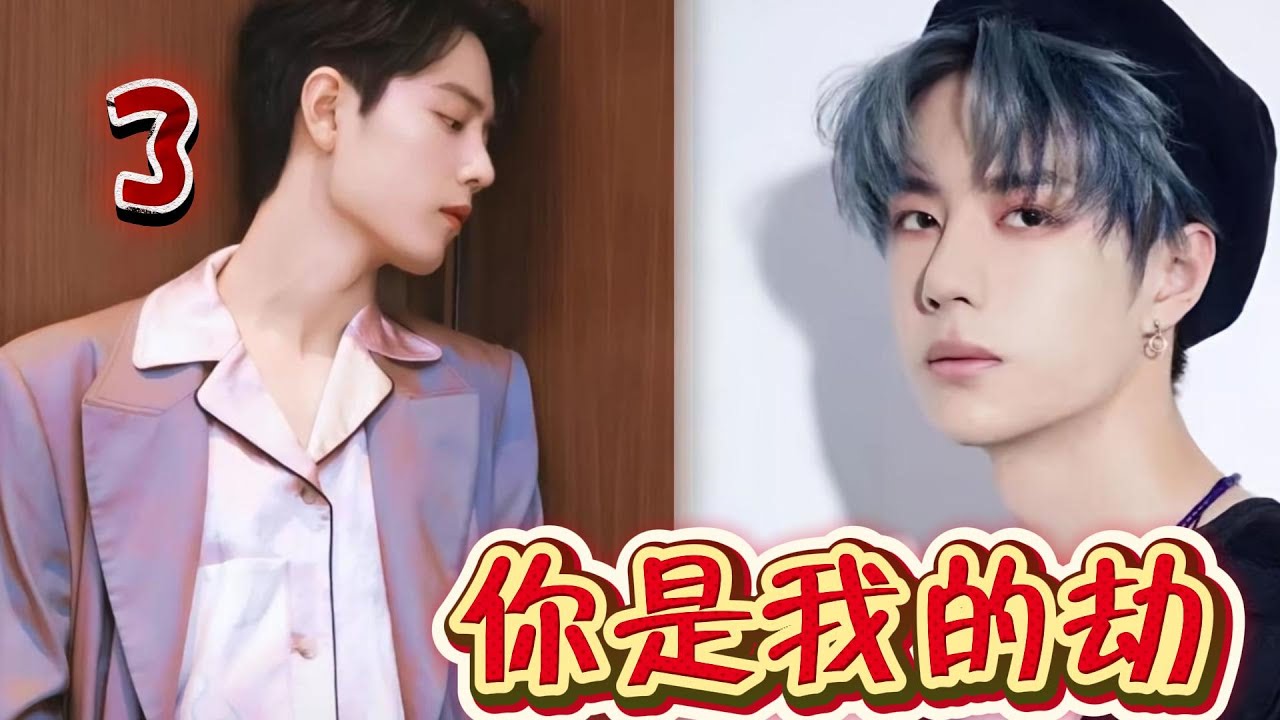 你是我的劫3
