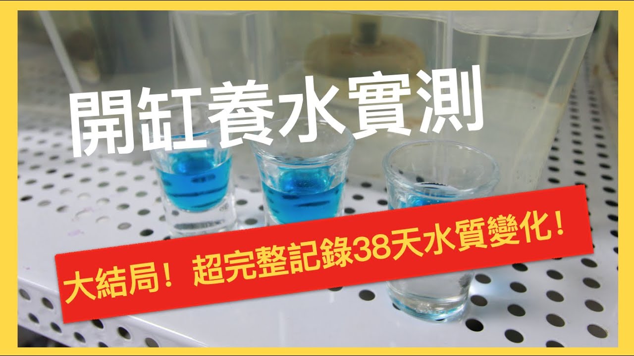 如何養水｜開缸養水實測結果出爐