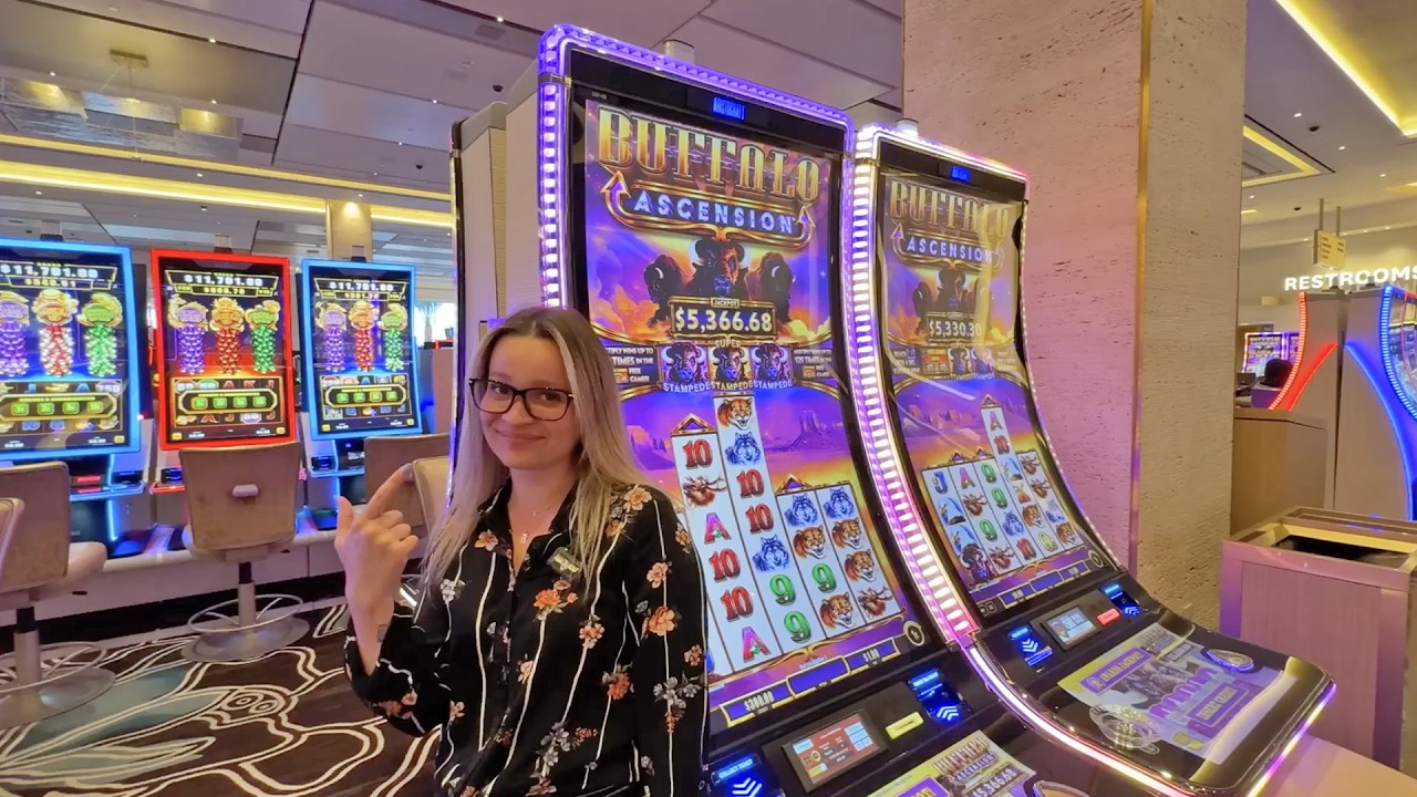 The MOST Free Games Ever In A Single Slot Video!