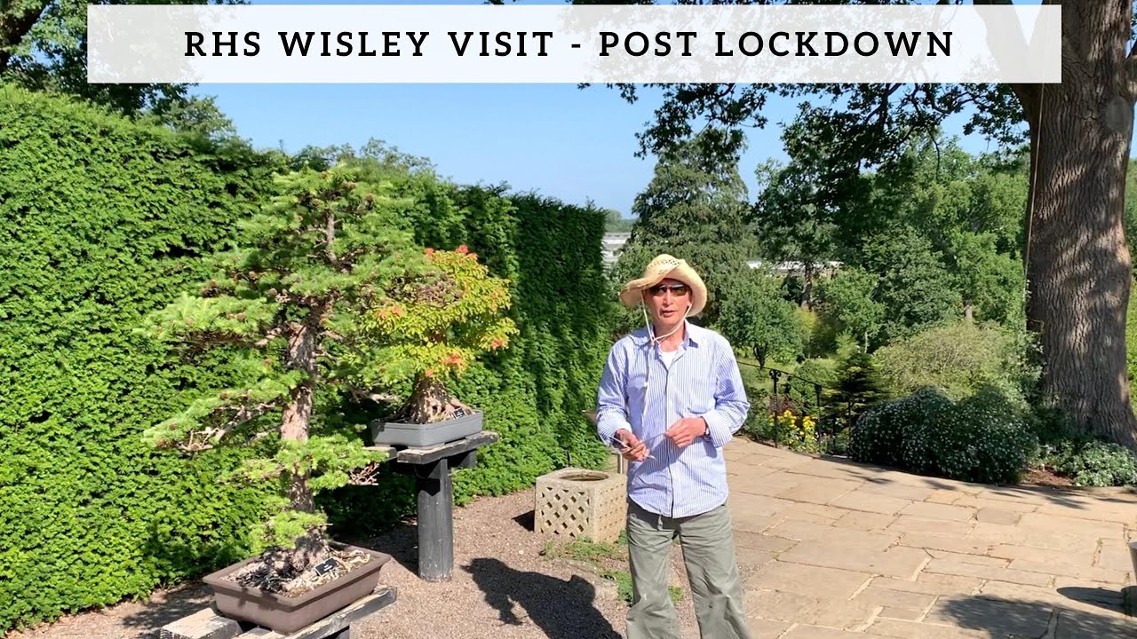 RHS Wisley Visit   Post Lockdown