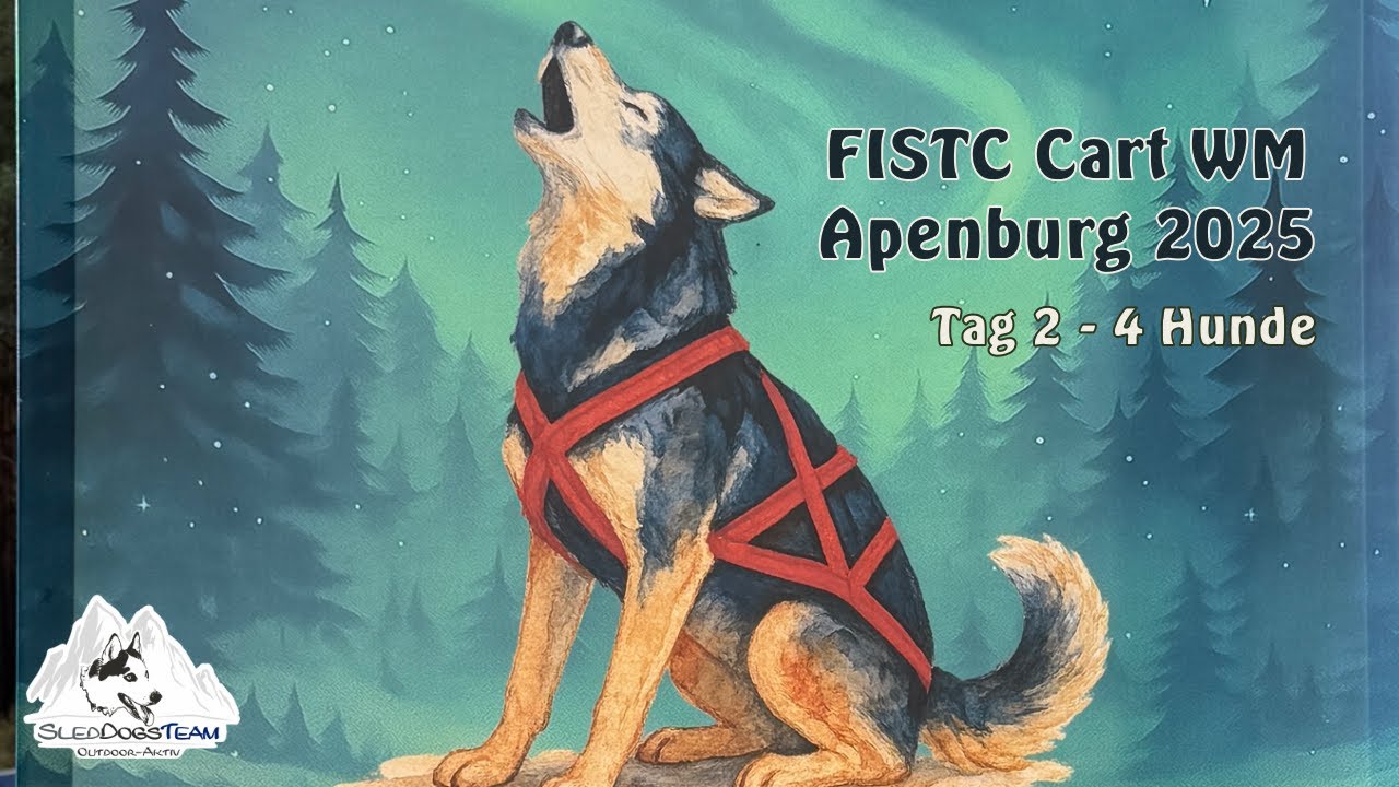 FISTC Cart WM 2025 Apenburg Tag 2
