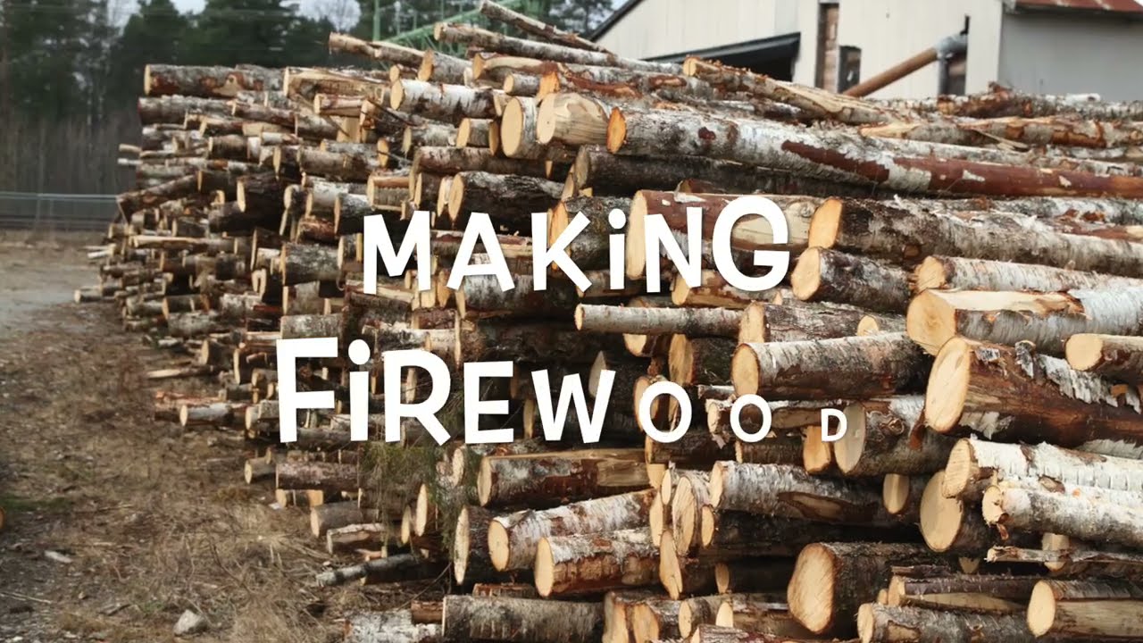 Cutting 1000 cubic meters of firewood per year