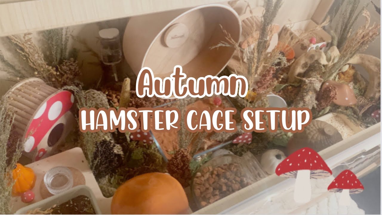Autumn/Fall NATURAL HAMSTER CAGE SETUP 🍄🐹🍂