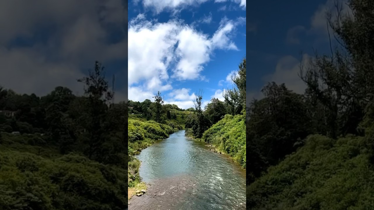 Mesmerising views of Nilgiri Hills, Ooty. #shorts #travelvlog #ooty