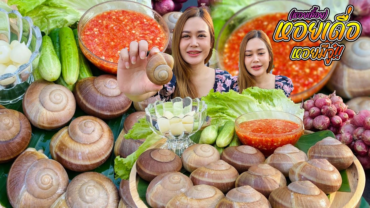 กินหอยเดื่อต้มครั้งแรก!! หอยที่มีตัวเดียวอันเดียว ขมๆกรุบๆ กินกับน้ำจิ้มซีฟู้ดแซ่บๆ|พากินพาแซ่บ