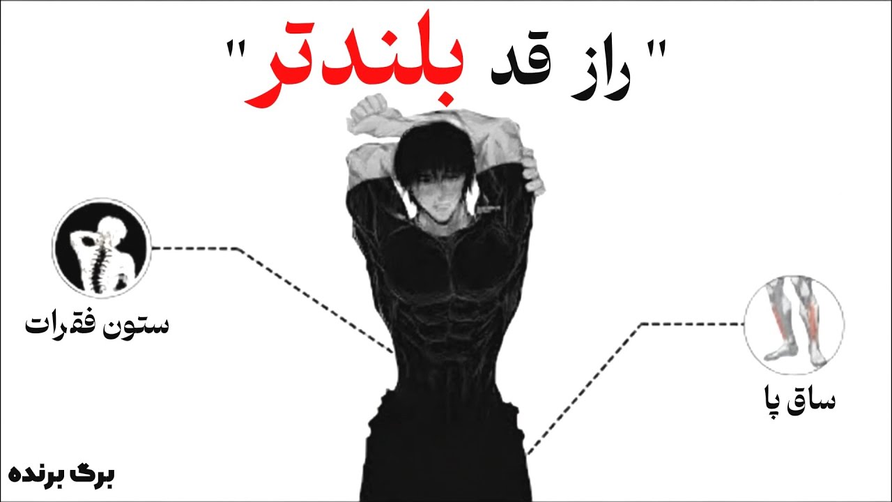 چطوری استخوان خودمونو مجبور به رشد بکنیم؟ (حتی بعد از سن بلوغ)