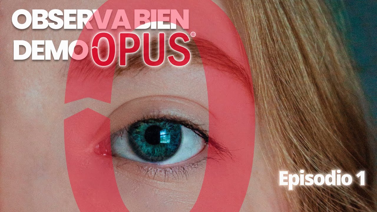 Demostración OPUS 21 Presupuesto programable | Arq. Everardo López