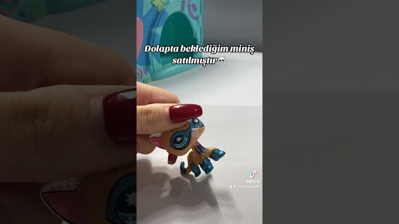 İstediğim Miniş Satılmıştır 😩 