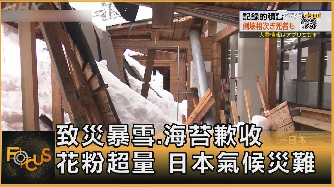 致災暴雪.海苔歉收.花粉超量 日本氣候災難｜方念華｜FOCUS全球新聞20260205
