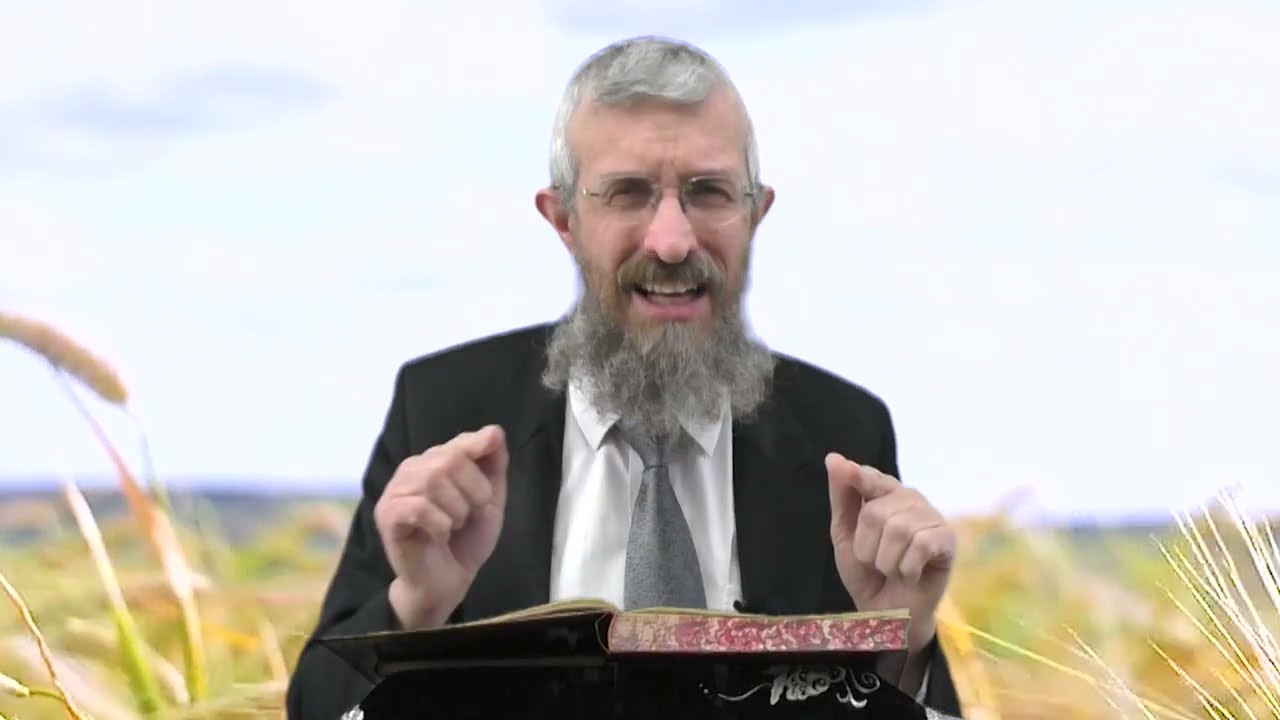 מסכת מנחות דף סא - 8 דקות של לומדות ועמקות בדרך הלימוד הישיבתית [Menachot 61]