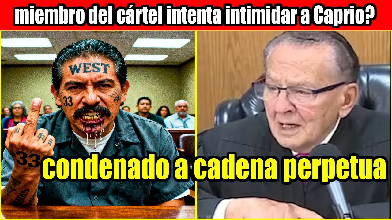 En pleno juicio, el cartel intent&oacute; sobornar; Juez Caprio sonri&oacute; y solt&oacute; la orden que cambi&oacute; todo ya