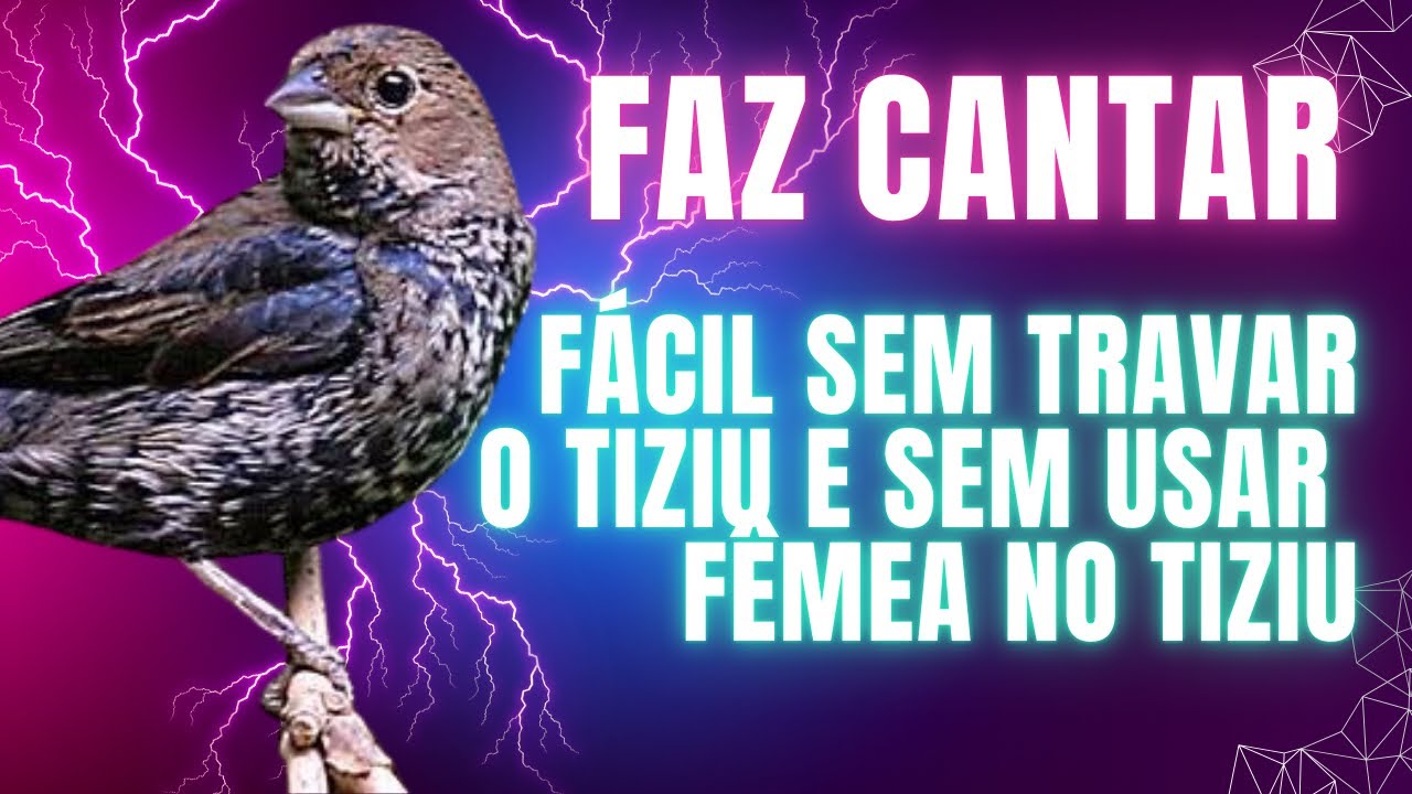 Mexida de tiziu sem fêmea do zero