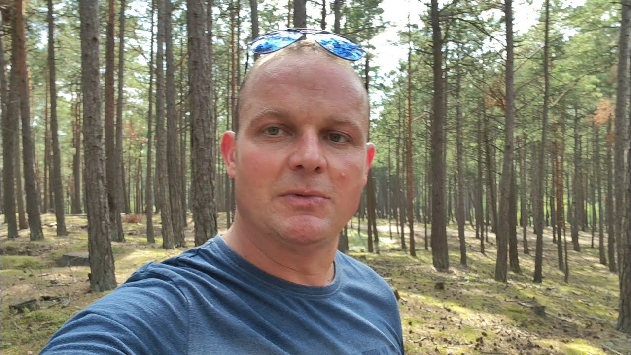 Te borowiki przywędrowały do nas z Ameryki . Możemy je już zbierać nadmorskiej miejscowości . Grzyby
