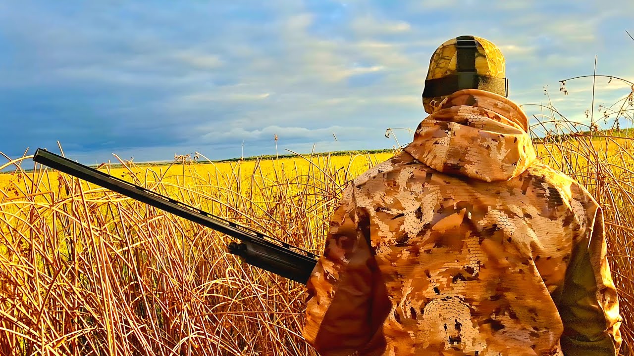 ОДИН НА РИСОВОМ ОЗЕРЕ! ОСЕННЯЯ ОХОТА НА УТКУ С ЧУЧЕЛАМИ .
