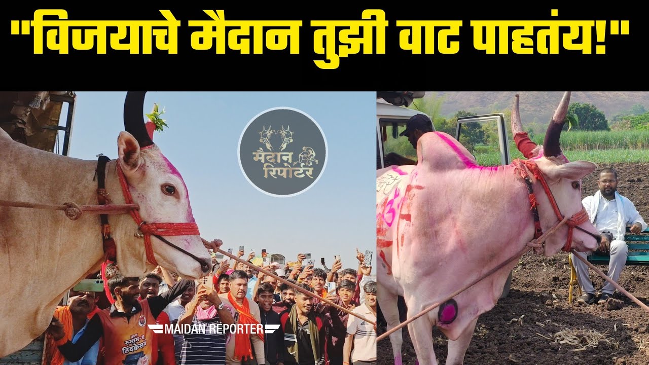 मैदान तुझी वाट पाहतोय...