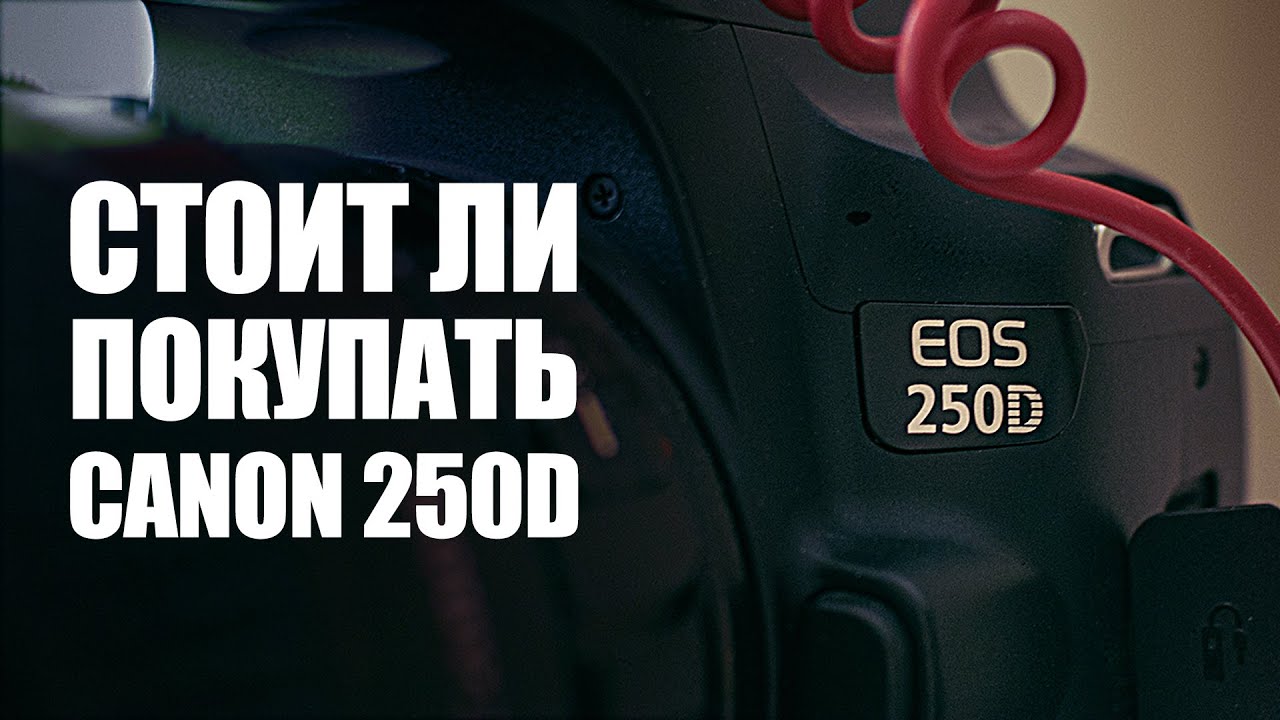 Обзор Canon EOS 250D / Стоит ли покупать зеркальную камеру?