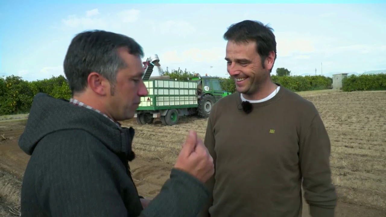 La collita de la Xufa de València al programa 