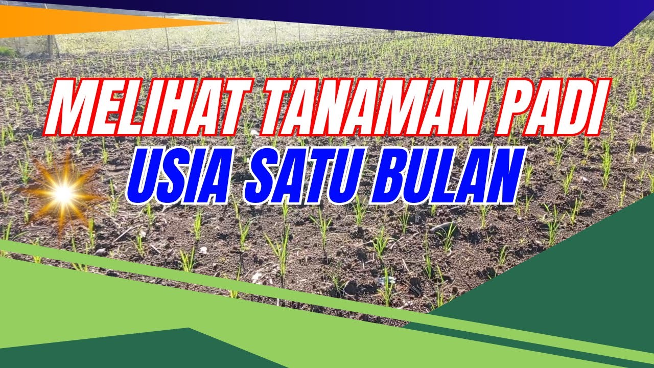 TASYA ROSMALA - CINTA DAN AIR MATA, TAJAMNYA KARANG || OM ADELLA FULL ALBUM TERBARU 2025