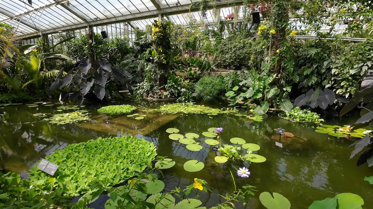 16/05/2023 RBG Kew - Princess Of Wales Conservatory