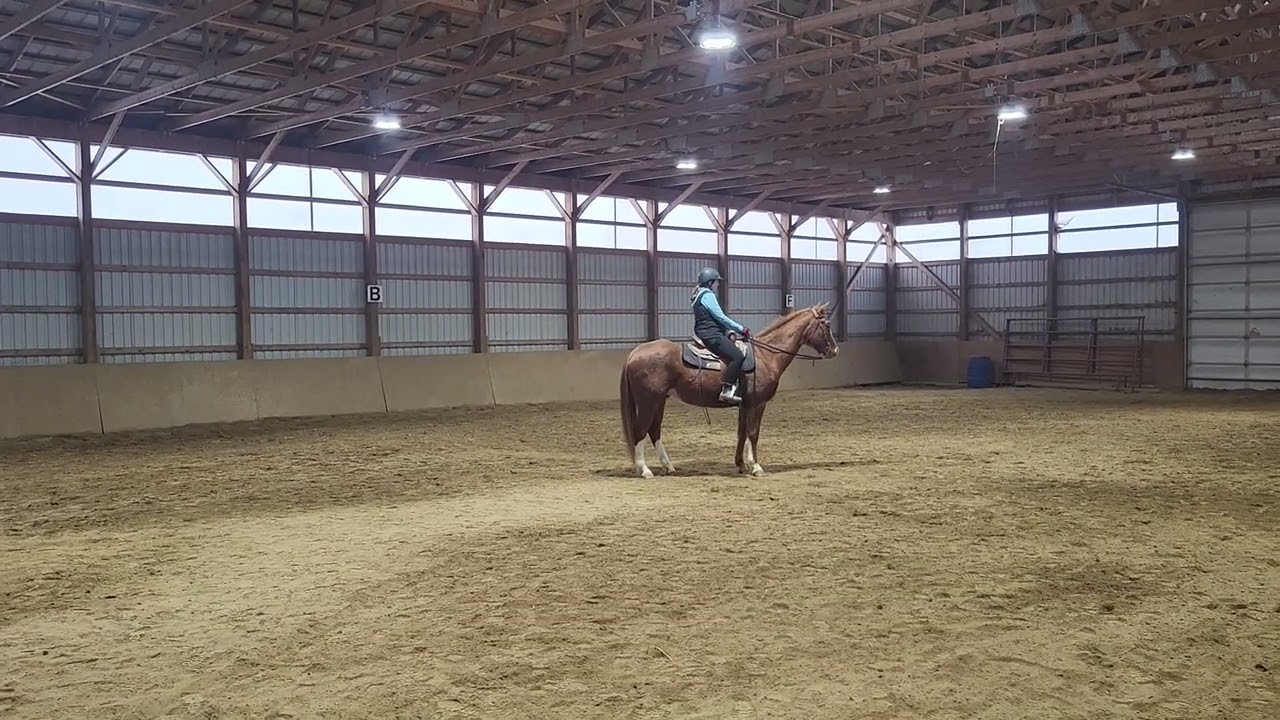 SB Virtual Horse Show Western - February 2026 Adult Walk/Jog Horsemanship