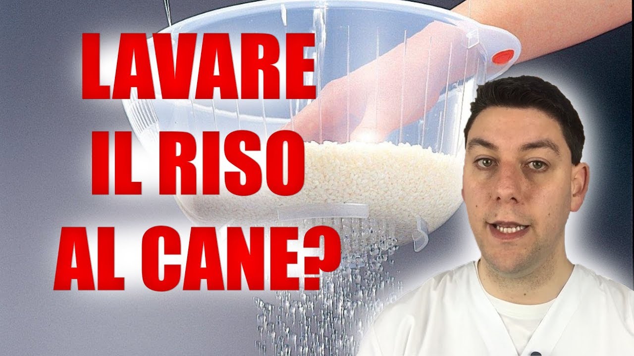 Come cuocere pasta, riso e patate nelle diete casalinghe?