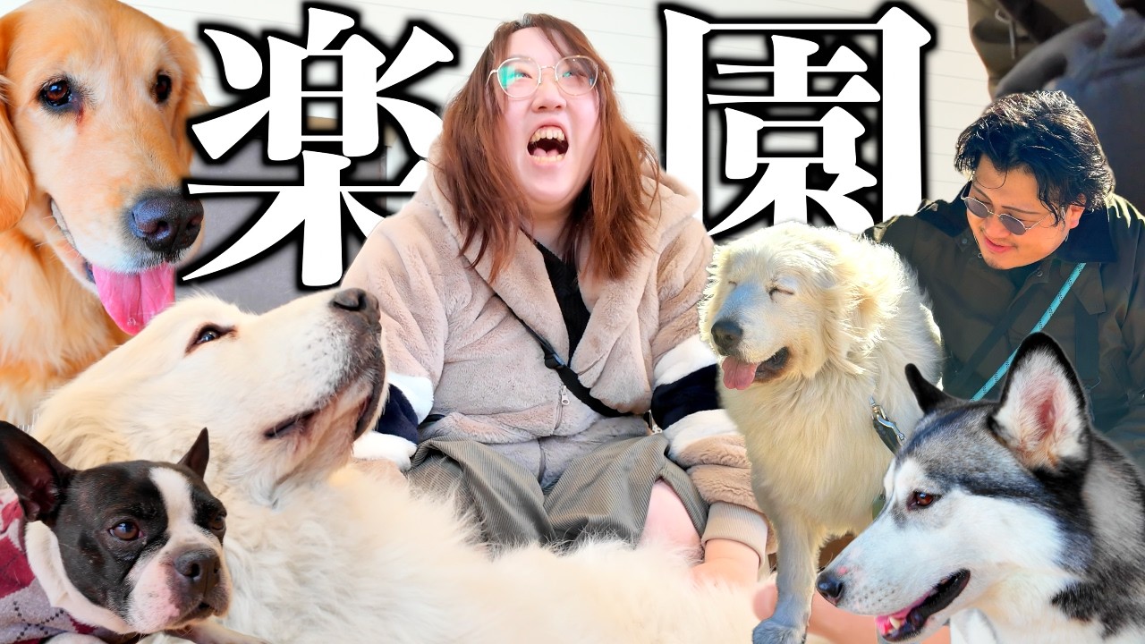 【30代夫婦】もふもふパラダイス。育児疲れのご褒美に夫婦だけで犬専門の動物園に来たら天国だった…