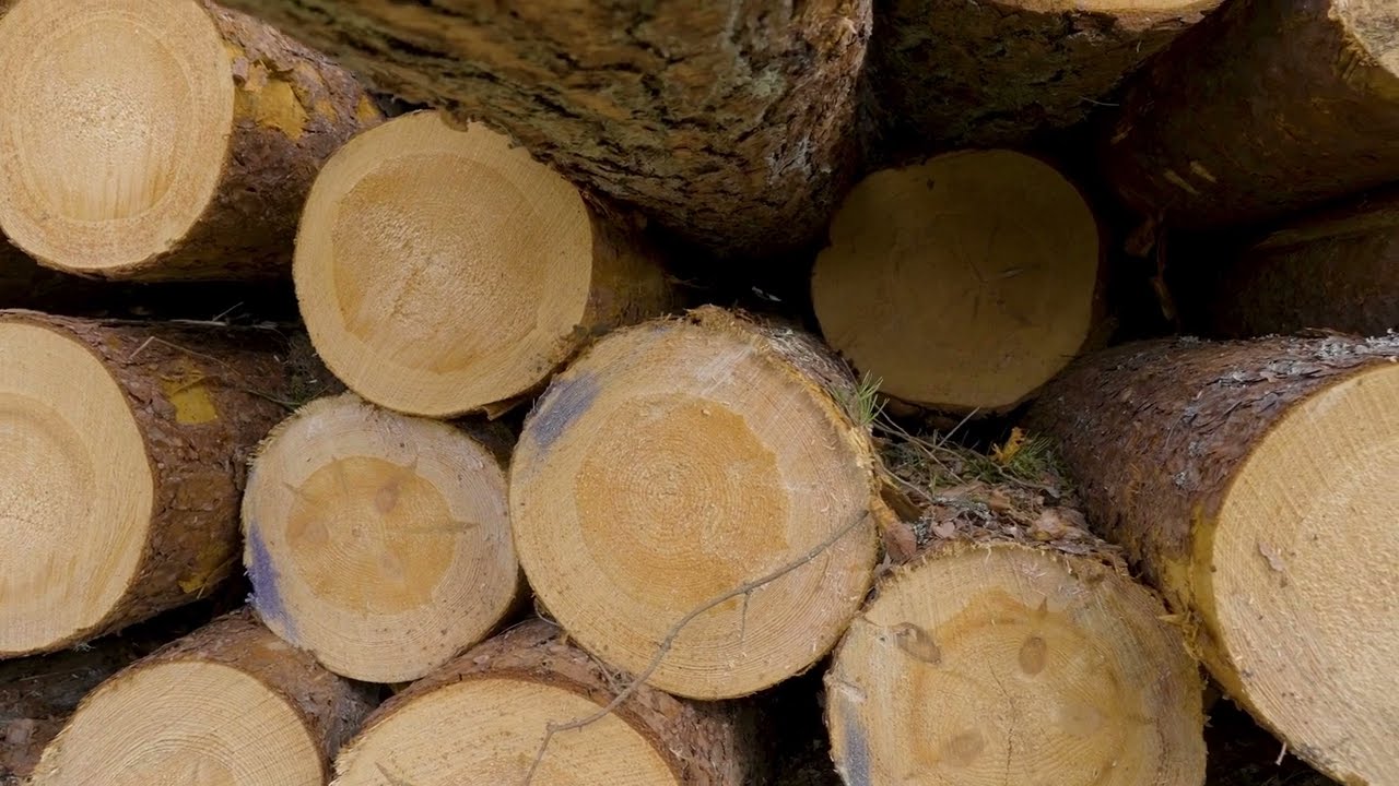 Mets&auml;koneenkuljettajan soveltuvuuskoe