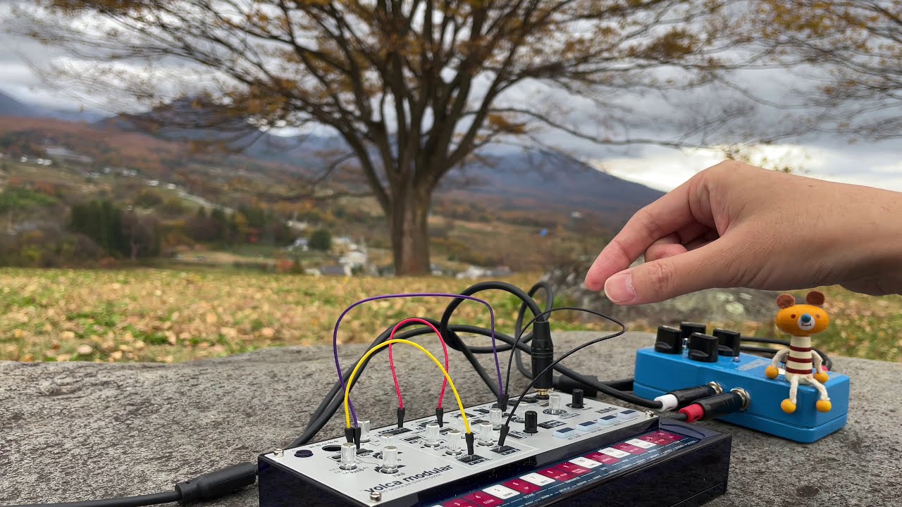 KORG volca modular+Flashback2delay+DR-07mkⅡ/ autumn tree / Ambient music