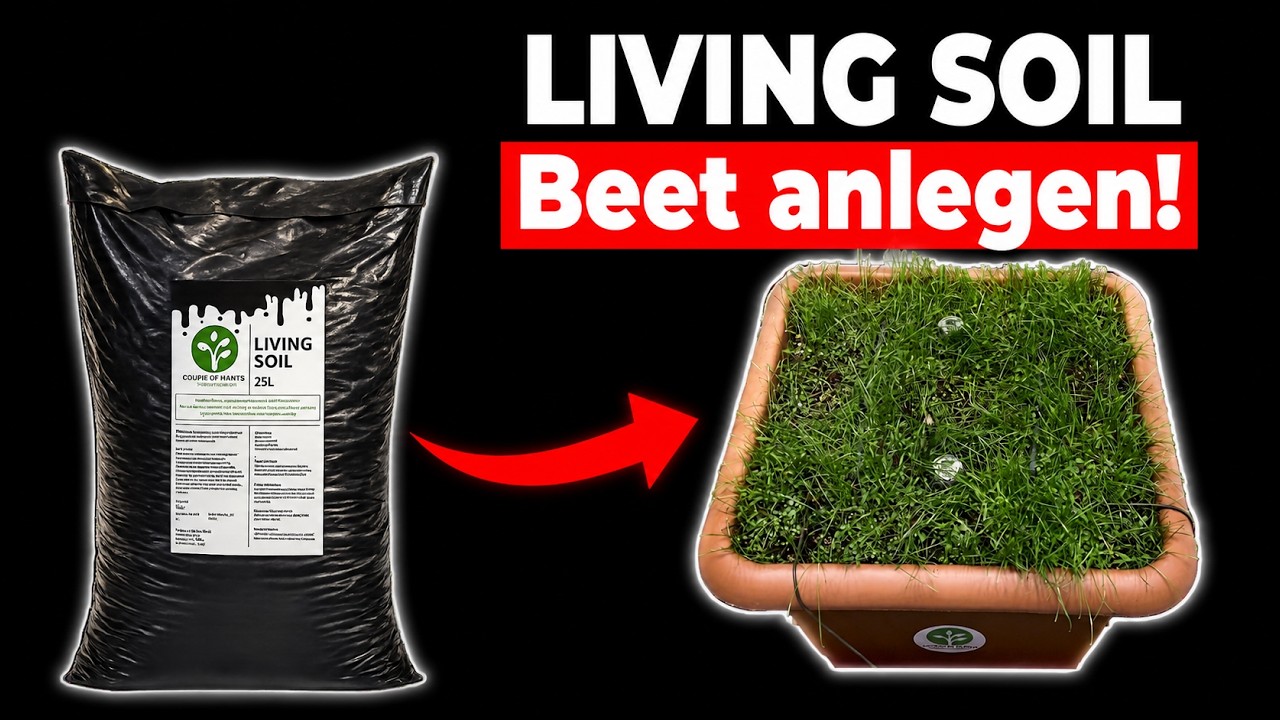Reusable indoor bed with Living Soil & earthworms: short instructions for growers & gardeners